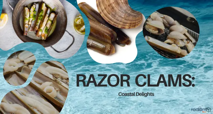 Razor-clams-coastal- delights