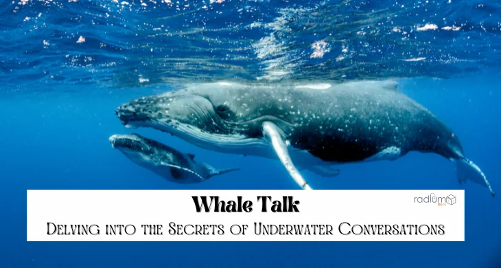 Whale Talk Delving into the Secrets of Underwater Conversations